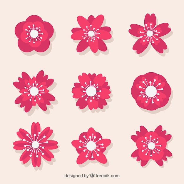 Free vector assortment of cherry blossoms in pink tones