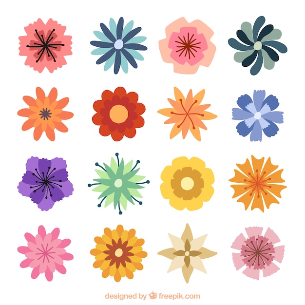 Assortment of colored flowers