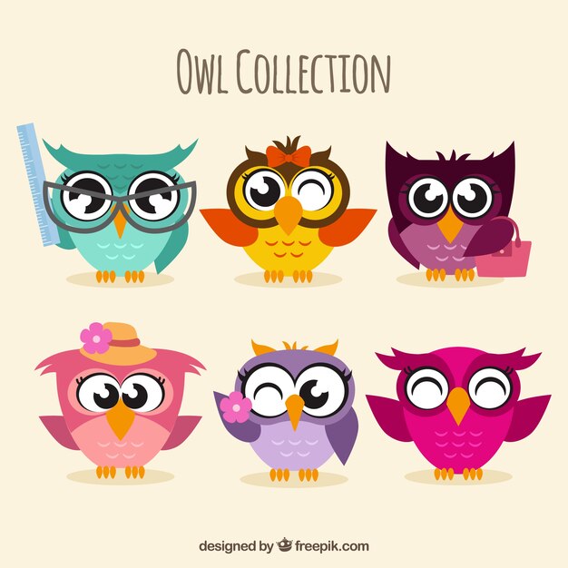 Assortment of colorful owls in flat design