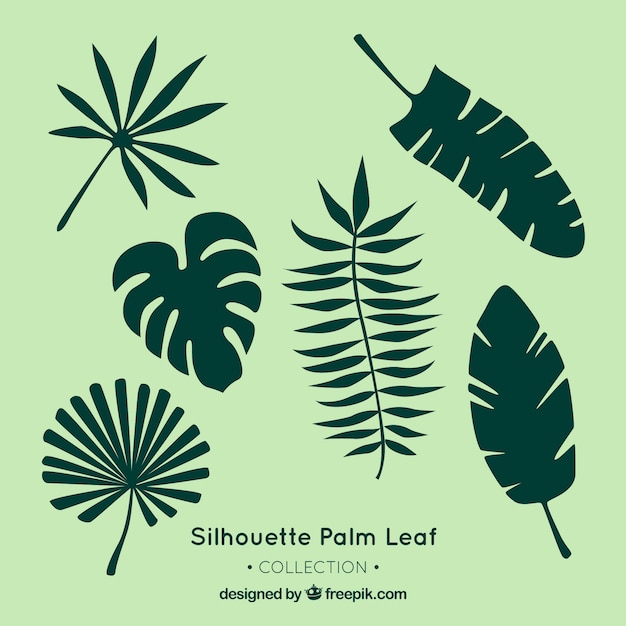 Free vector assortment of decorative palm leaves