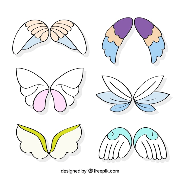 Free vector assortment of decorative wings with colored elements