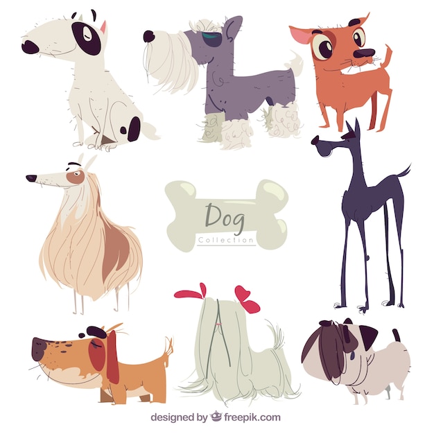 Free vector assortment of dogs with different breeds