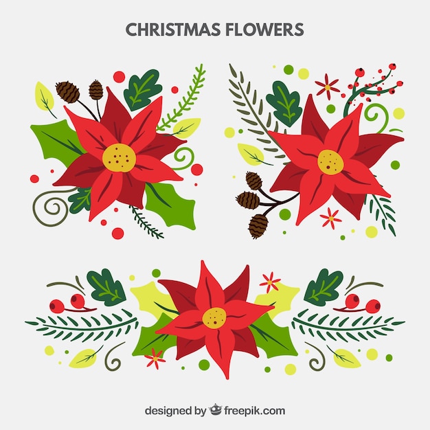 Free vector assortment of floral decoration for christmas