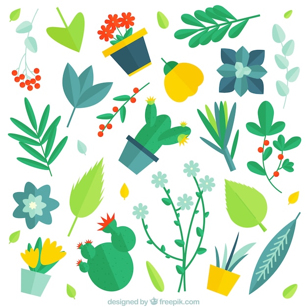 Free vector assortment of flowers and plants in flat design