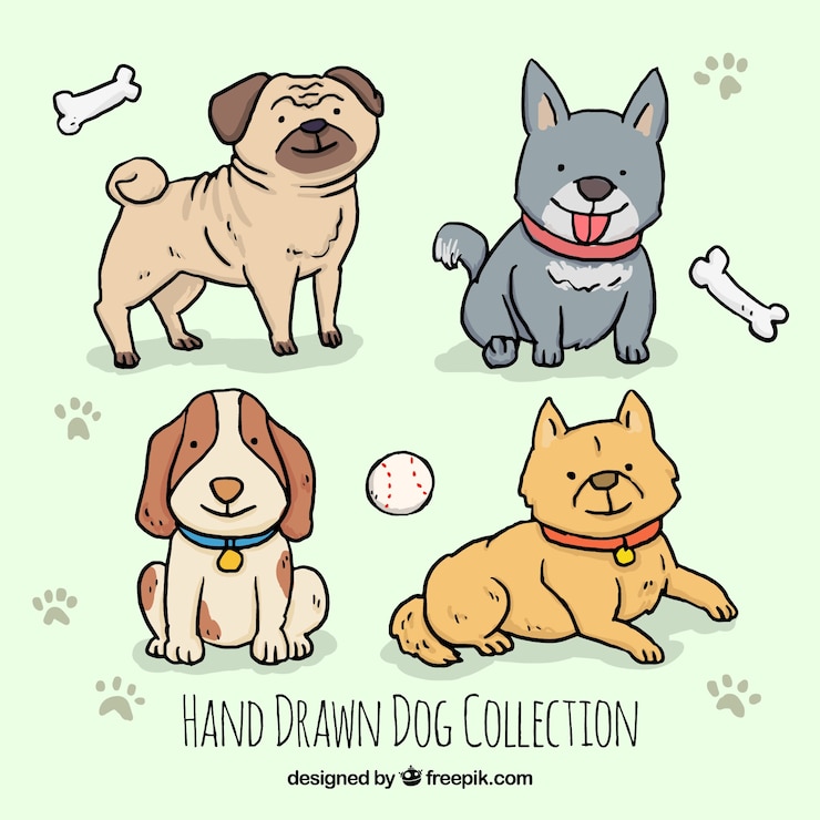 Free Vector assortment of four hand-drawn dogs