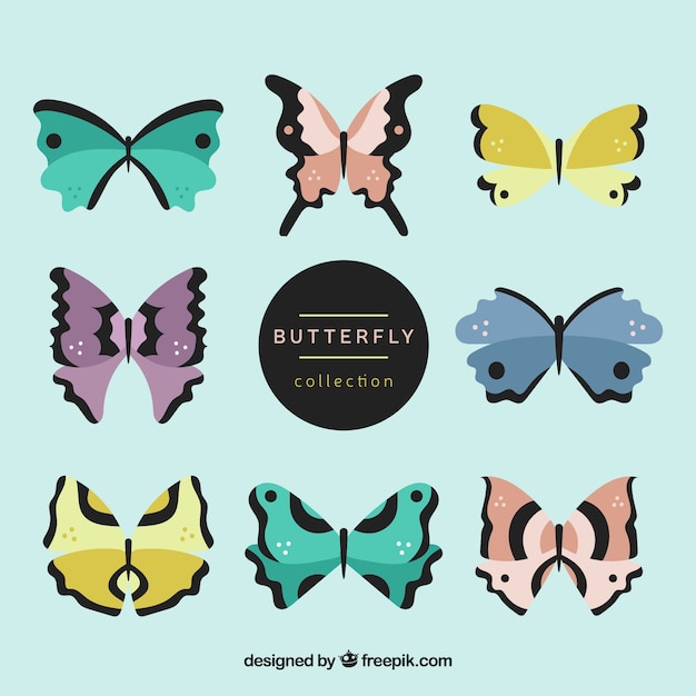 Assortment of great butterflies with different shapes