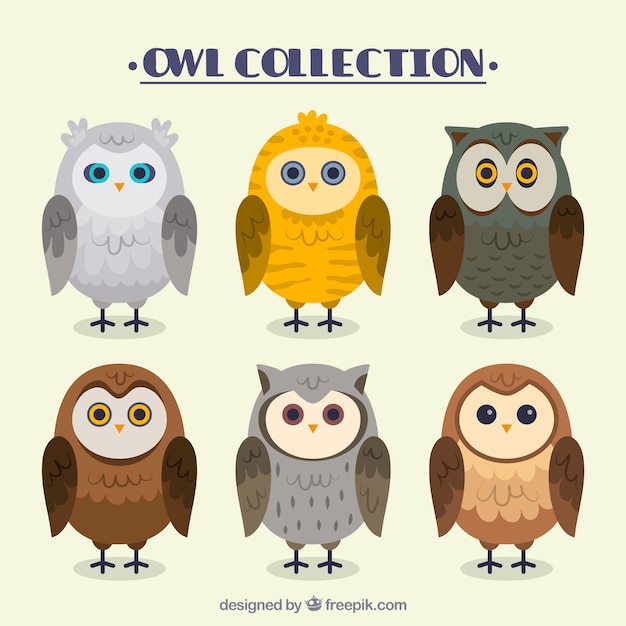 Free vector assortment of great owls in flat design