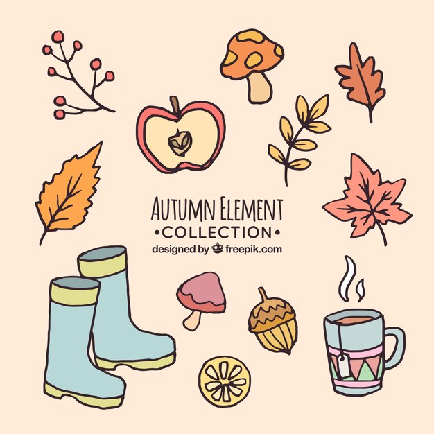 Assortment of hand drawn autumn elements
