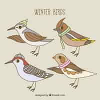 Free vector assortment of hand-drawn birds