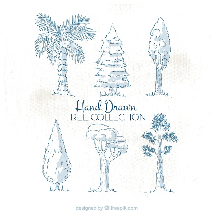 Free Vector assortment of hand-drawn trees