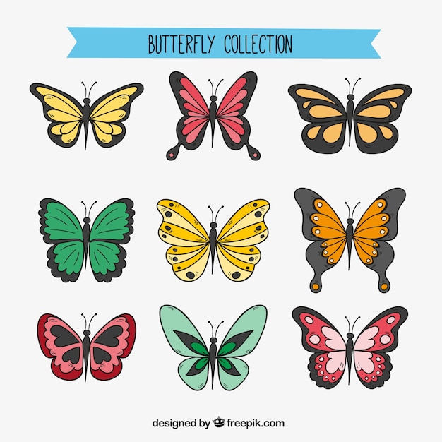 Free vector assortment of nine hand-drawn butterflies