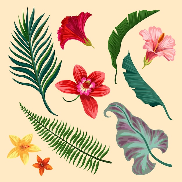 Бесплатное векторное изображение Ассортимент тропических цветов и листьев
