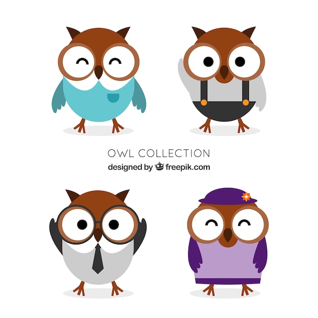 Free vector assortment of owls with clothes in flat design