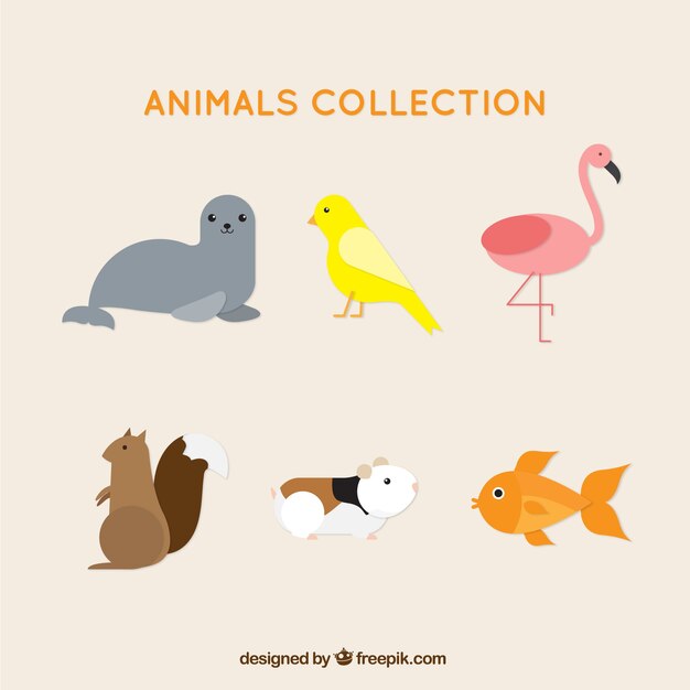 Assortment of pretty flat animals