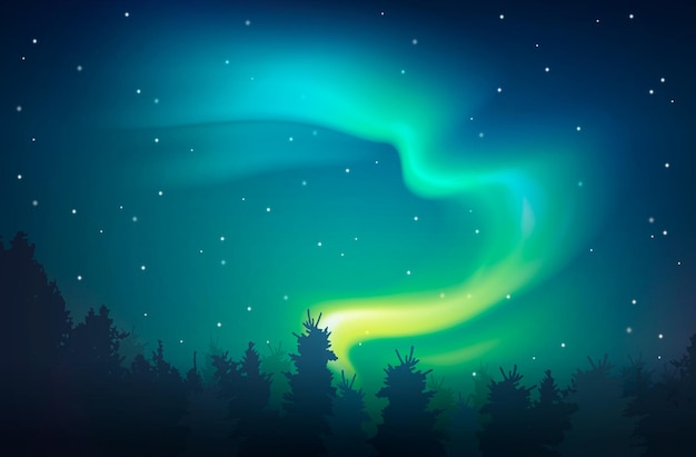 Aurora Realistic Night Background