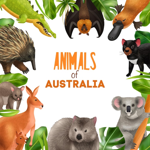 Australian animals composition with editable ornate text surrounded by animal images with exotic plants tropical leaves vector illustration