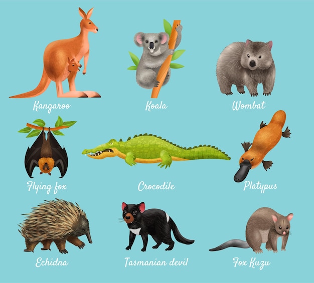 Free vector australian animals design concept