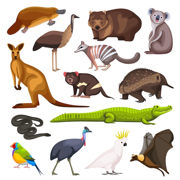 Vettore gratuito set di animali australiani di koala canguro coccodrillo lucertola volpe volante cane selvatico dingo ornitorinco echidna wombat numbat casuario personaggi dei cartoni animati illustrazione vettoriale isolata