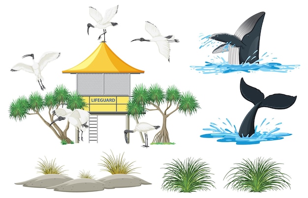 Free vector australian white ibis and nature objects
