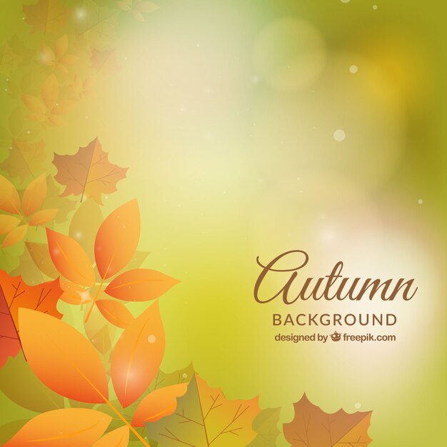 현실적인 낙된 엽으로 Autum 배경