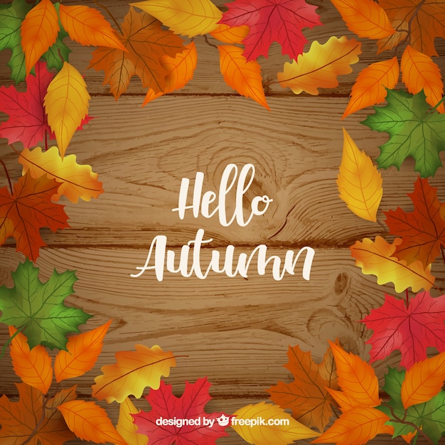 Free vector autumn background in realistic style