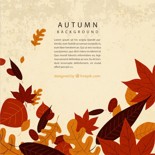 Vettore gratuito autunno modello di sfondo con le foglie