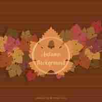 Бесплатное векторное изображение Осенний фон с разноцветными листьями
