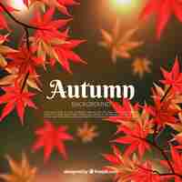 Free vector autumn background with colorful leaves