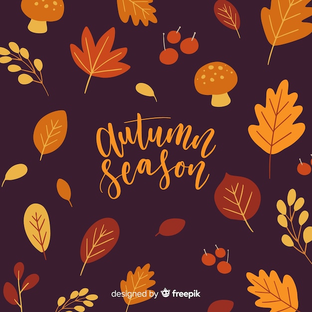 Autumn background with colorful leaves