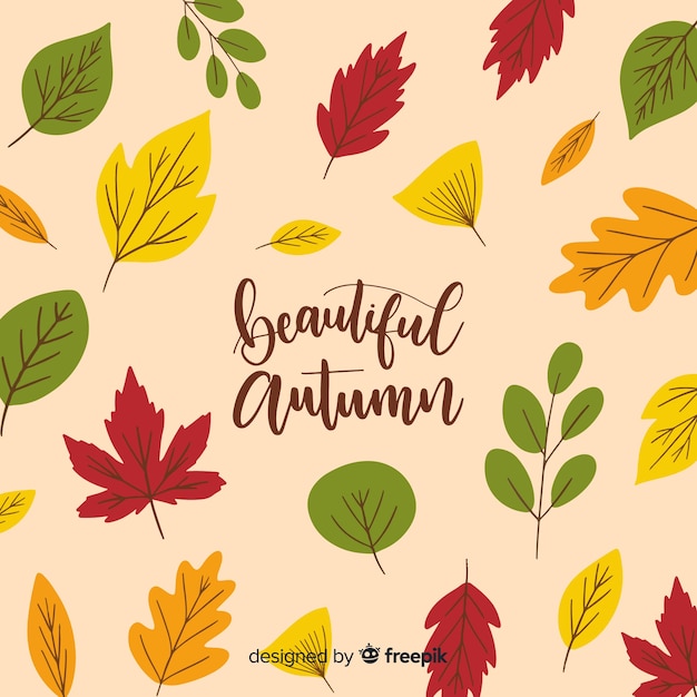 Autumn background with colorful leaves