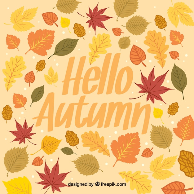 Free vector autumn background with different leaves