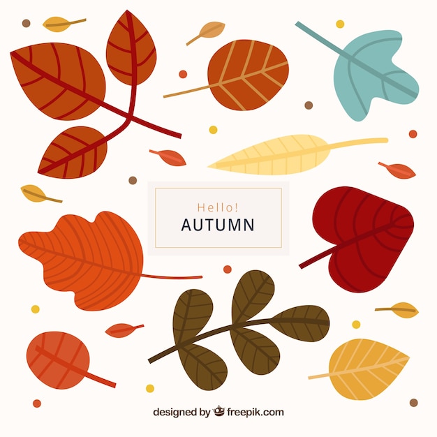 異なる葉の秋の背景