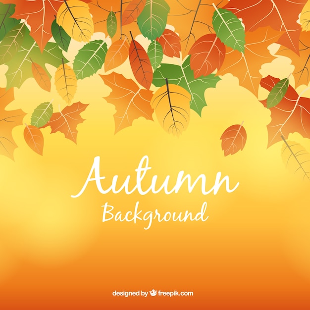 Autumn background with flat leaves