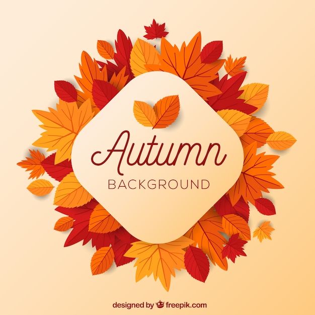 Autumn background with flat leaves