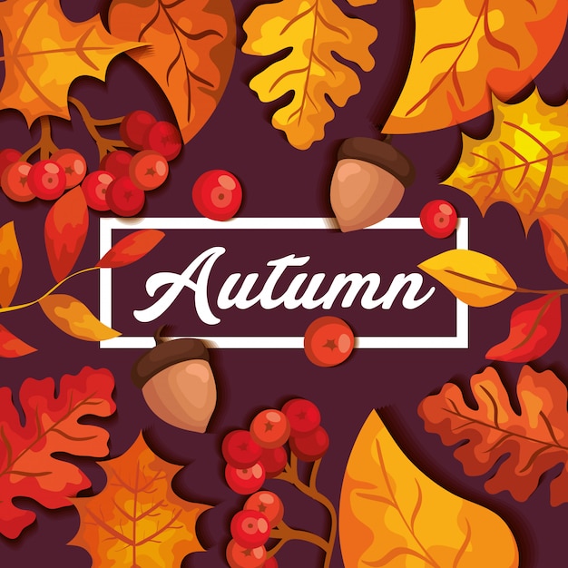 Autumn background with leaves and nuts fruit