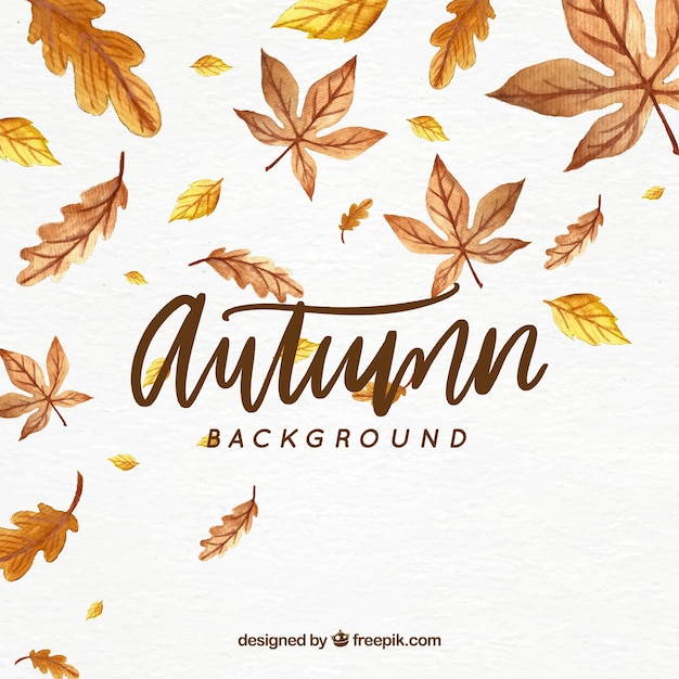 Free vector autumn background with leaves