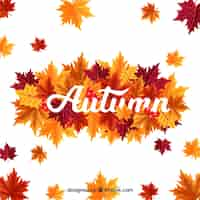 Free vector autumn background with leaves