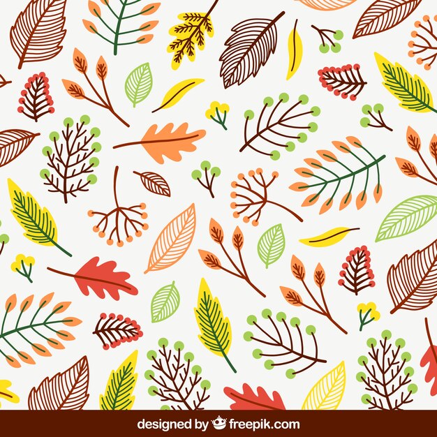 Autumn background with leaves