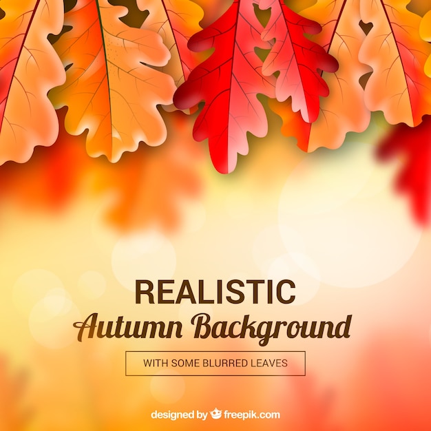 Autumn background with leaves