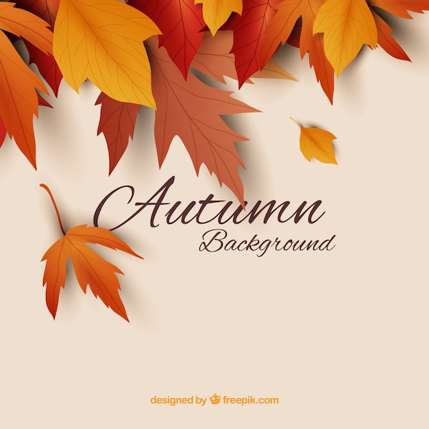 Autumn background with realistic leaves