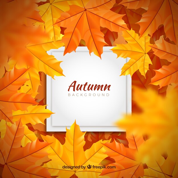 Autumn background with realistic leaves