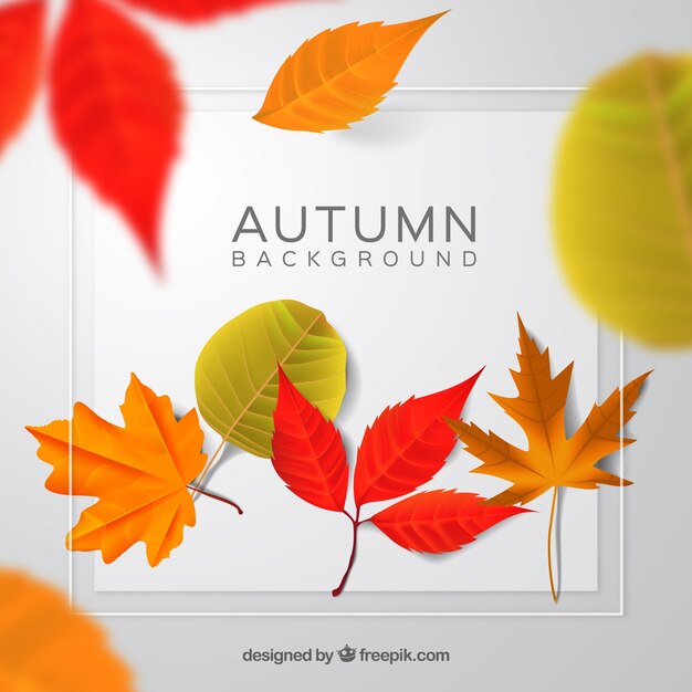 Autumn background with realistic leaves