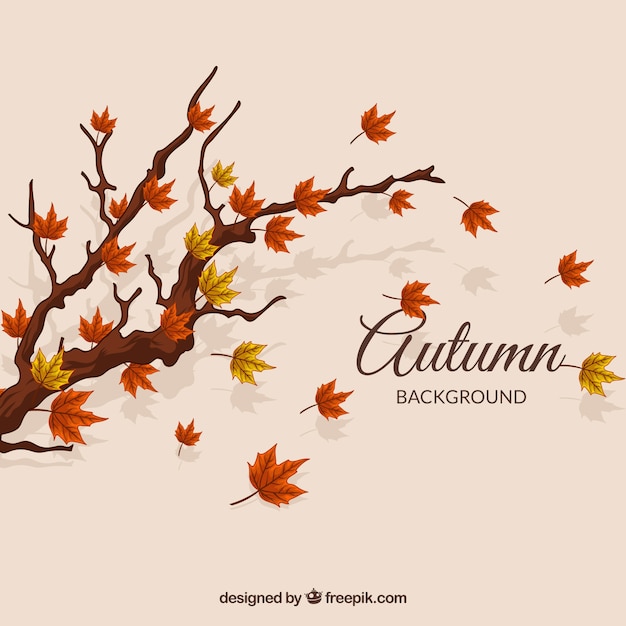 Free vector autumn background with tree and leaves