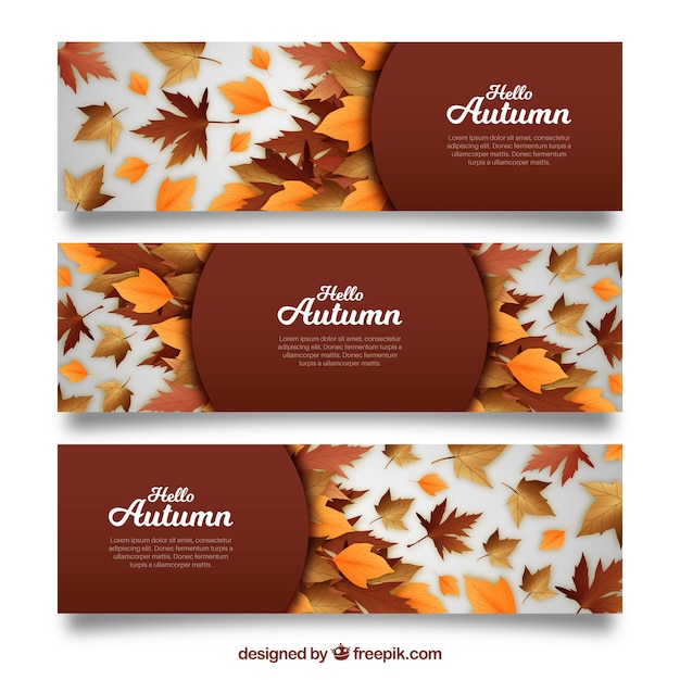 Vettore gratuito collezione di banner autunnale con un design realistico