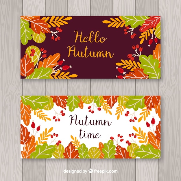 Free vector autumn banner set with colorful leaves