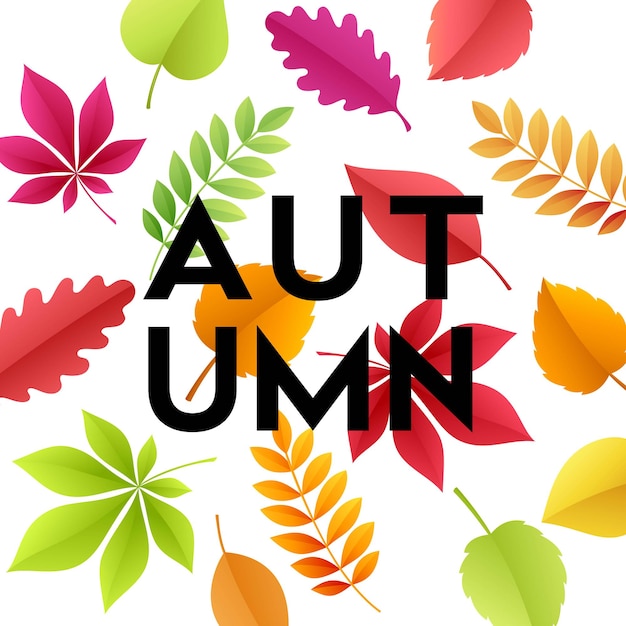 Free vector autumn banner with paper fall leaves