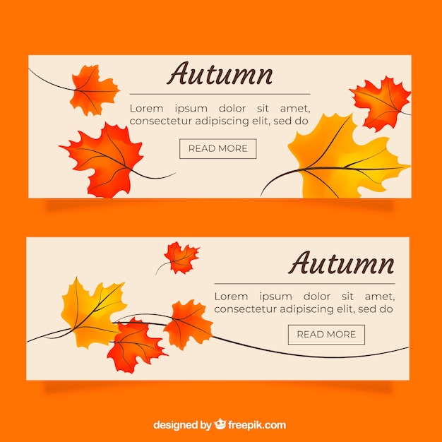 Autumn banners with colorful leaves