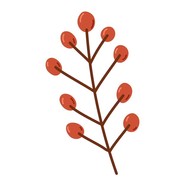 Autumn branch and fruits icon vector isolated