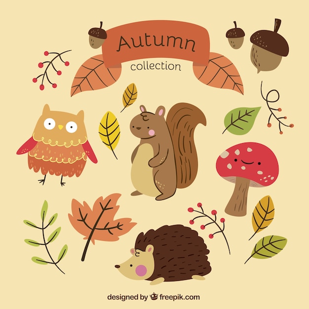 Collezione autunno con gli animali disegnati a mano