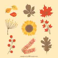 Free vector autumn elements collection